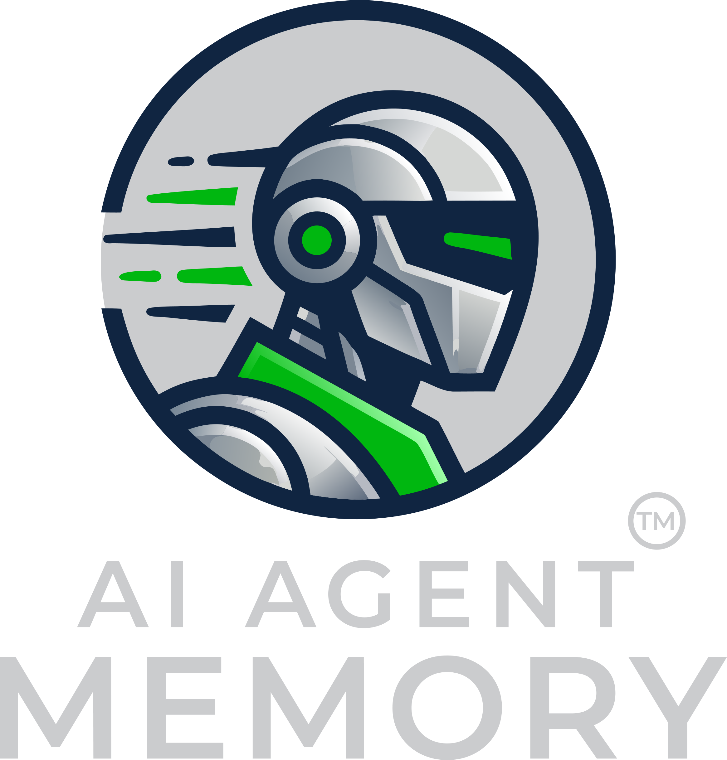 AGENT MEMORY
